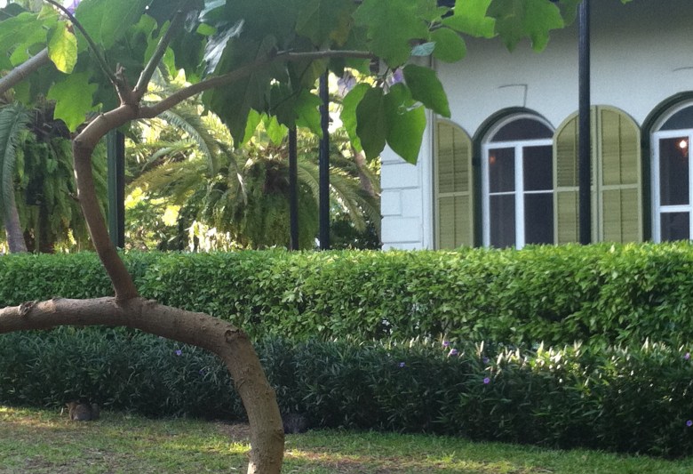 hemingway house